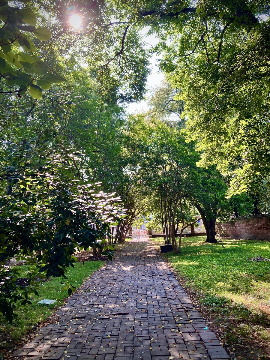 HobanGirl's tweet photo. Before today’s late-afternoon thunderstorms, sun was bright, air muggy, skies cerulean. #DukeSt #ColumbusSt #WashingtonSt #OldTown #Alexandria 
Feels like Groundhog Day, this nutty, unrelenting weather pattern. https://t.co/CmxW9vVUQH