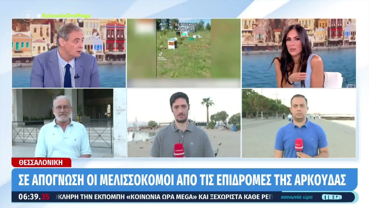 Kοινωνία Ώρα Mega (@koinoniaoramega) on Twitter photo Θεσσαλονίκη: Αρκούδα κάνει επιδρομές σε μελίσσια στον Δήμο Σοχού #koinoniaoramega <a href="/jordanxas/">iordanisxasapopoulos</a> <a href="/anthi83/">anthi voulgari</a> Θεσσαλονίκη: Αρκούδα κάνει επιδρομές σε μελίσσια στον Δήμο Σοχού #koinoniaoramega <a href="/jordanxas/">iordanisxasapopoulos</a> <a href="/anthi83/">anthi voulgari</a>
