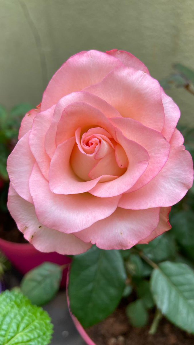 Razia (@raziasworld) on Twitter photo Make Kindness the Norm
<a href="/DavidMariposa1/">David</a> <a href="/KalyaniMuktevi/">Kalyani Sharma</a> <a href="/BrainnPower/">🦚My Green Zone🦚</a> <a href="/Kri_Te_Acharya/">బొట్టు శీను</a> <a href="/FarhaSyeda1/">Syeda Farha</a> <a href="/kbiqbal777/">k.b.iqbal</a> Make Kindness the Norm
<a href="/DavidMariposa1/">David</a> <a href="/KalyaniMuktevi/">Kalyani Sharma</a> <a href="/BrainnPower/">🦚My Green Zone🦚</a> <a href="/Kri_Te_Acharya/">బొట్టు శీను</a> <a href="/FarhaSyeda1/">Syeda Farha</a> <a href="/kbiqbal777/">k.b.iqbal</a>
