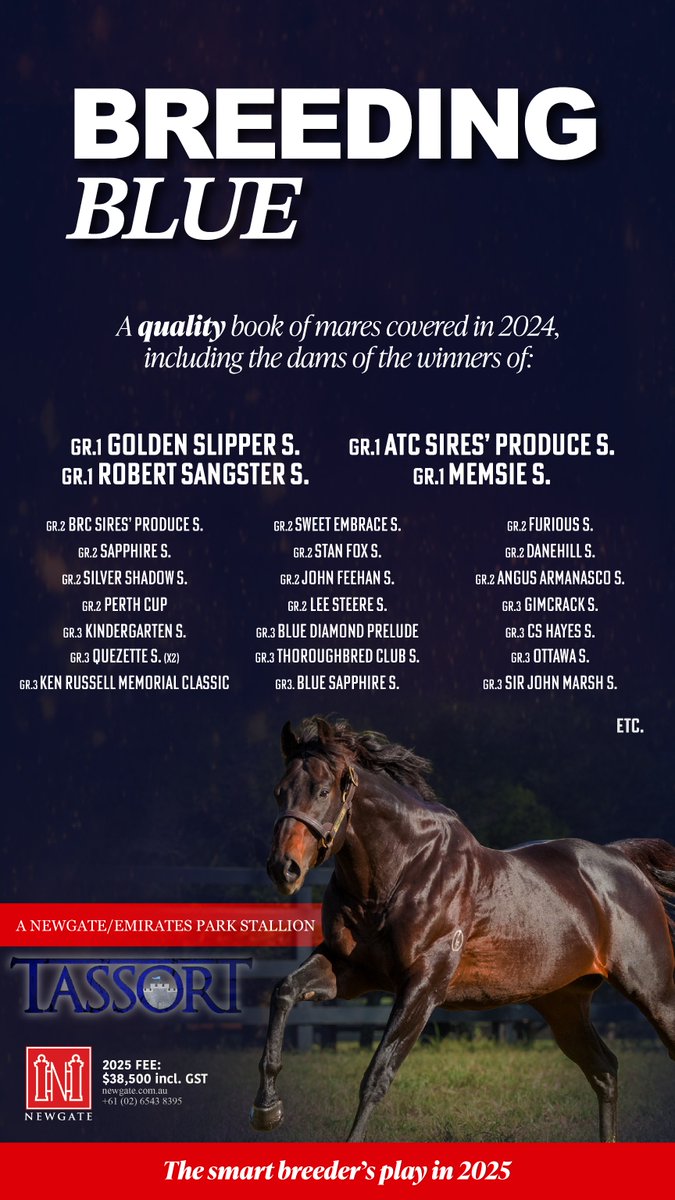 MonNeill's tweet image. TASSORT 🏰
A ⭐️lineup of mares that any stallion farm would be envious of 💚
🗣️Foals conceived in 2⃣0⃣2⃣5⃣ will hit the yearling sales ring ⭕️ just as his 2⃣0⃣2⃣4⃣ crop of 2⃣YOs starts making headlines 🗞️‼️
⏰TIMING IS EVERYTHING ....... @NewgateFarm