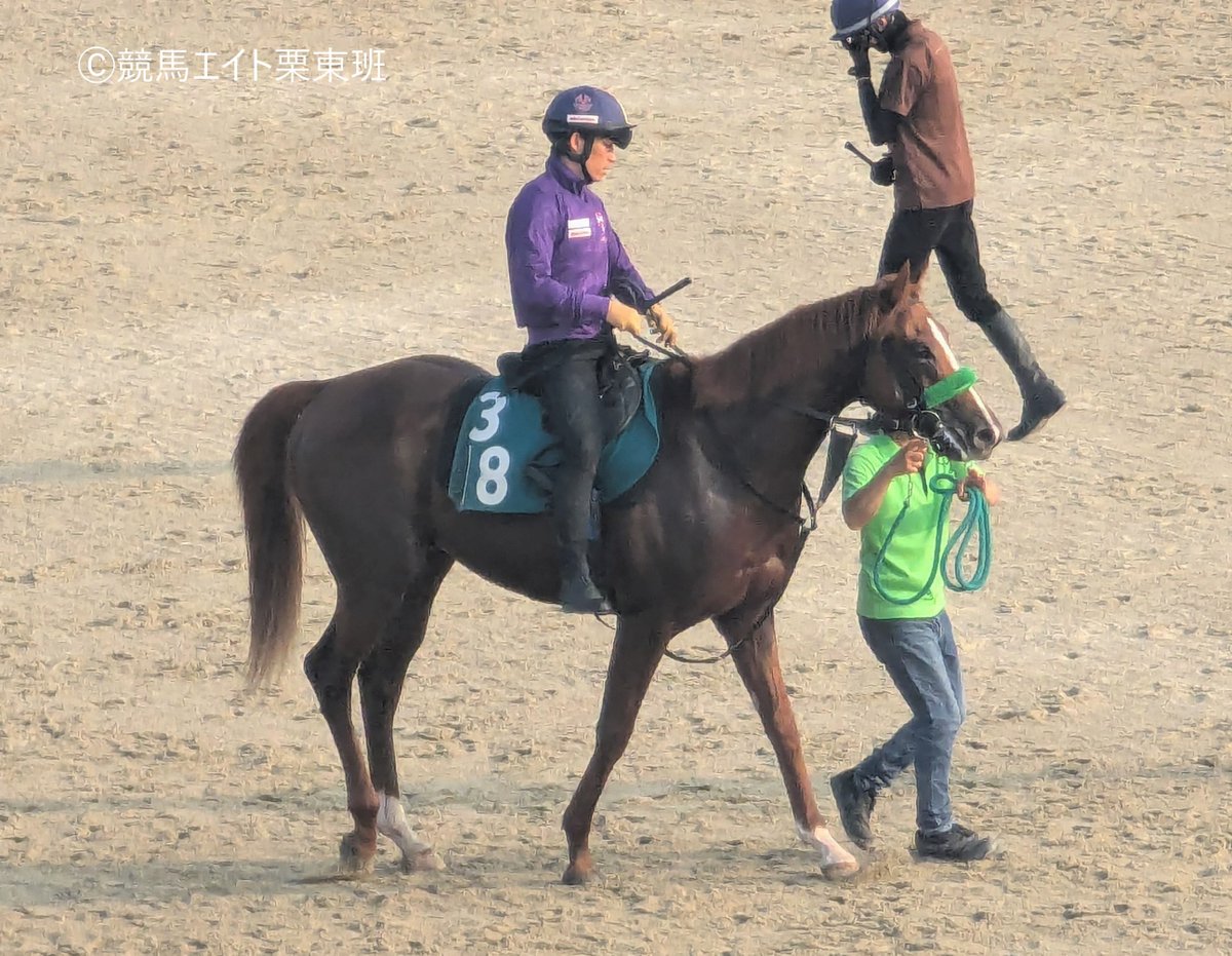 競馬エイト栗東班【2歳馬通信🏇】 on X