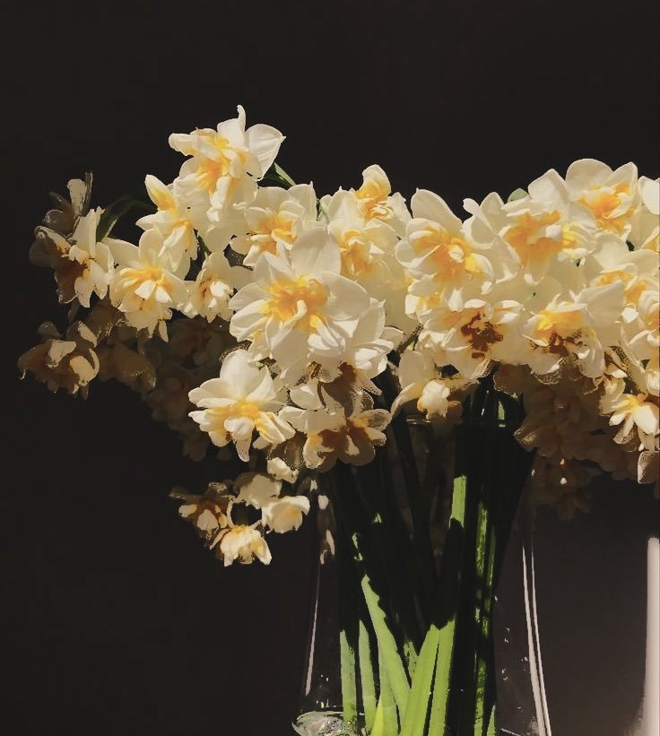 MVRPFLOWERSHOP's tweet image. β β
ββ ππ³πΆπΎπ¬πΉ π«π¬π³π°π½π¬πΉπ .α
β β β β ππ: @sneakysubedar
β β β β π
πππ: ANON
β β β β β
β β β β 
