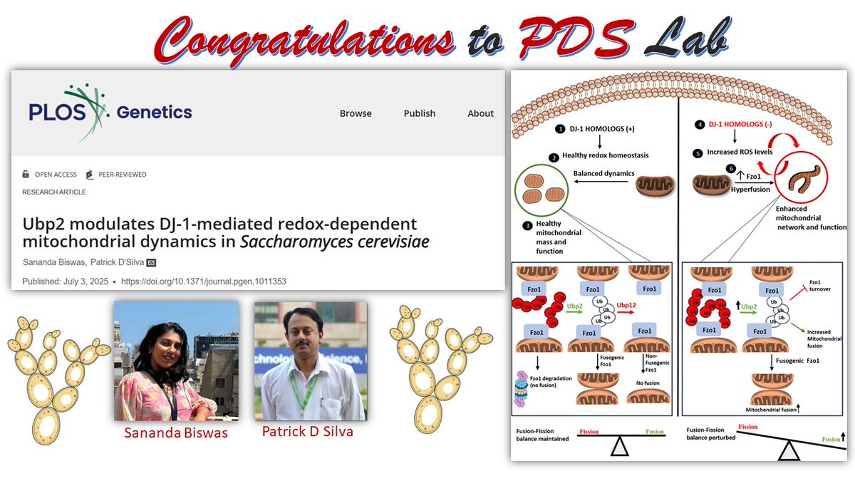 The Biochemical Society tweet media