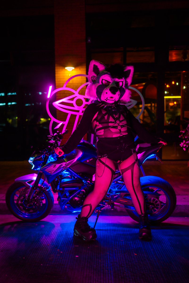 HayPanda's tweet image. π₯³ Death to my Twenties π€
Anthrocon was S O freaking good to me; literally best con ever with friends ππ
(I usually don't share this kind of stuff on this side- but I am AMAZED and ecstatic with how the shoot turned out !!)