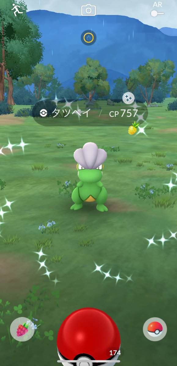 仕事前に色違いタツベイ🐉