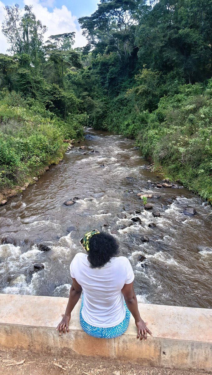 thedustyfellow's tweet image. This Saturday, we will be exploring Nyeri's highest point; Githuuri Hill.
Hikers and adventurers, have you wondered where to hike in Nyeri?
This is it.
River Chania, 200yo Mugumo Tree and bird watching are highlights of this hike.
Easy-moderate trail. #JoinUs