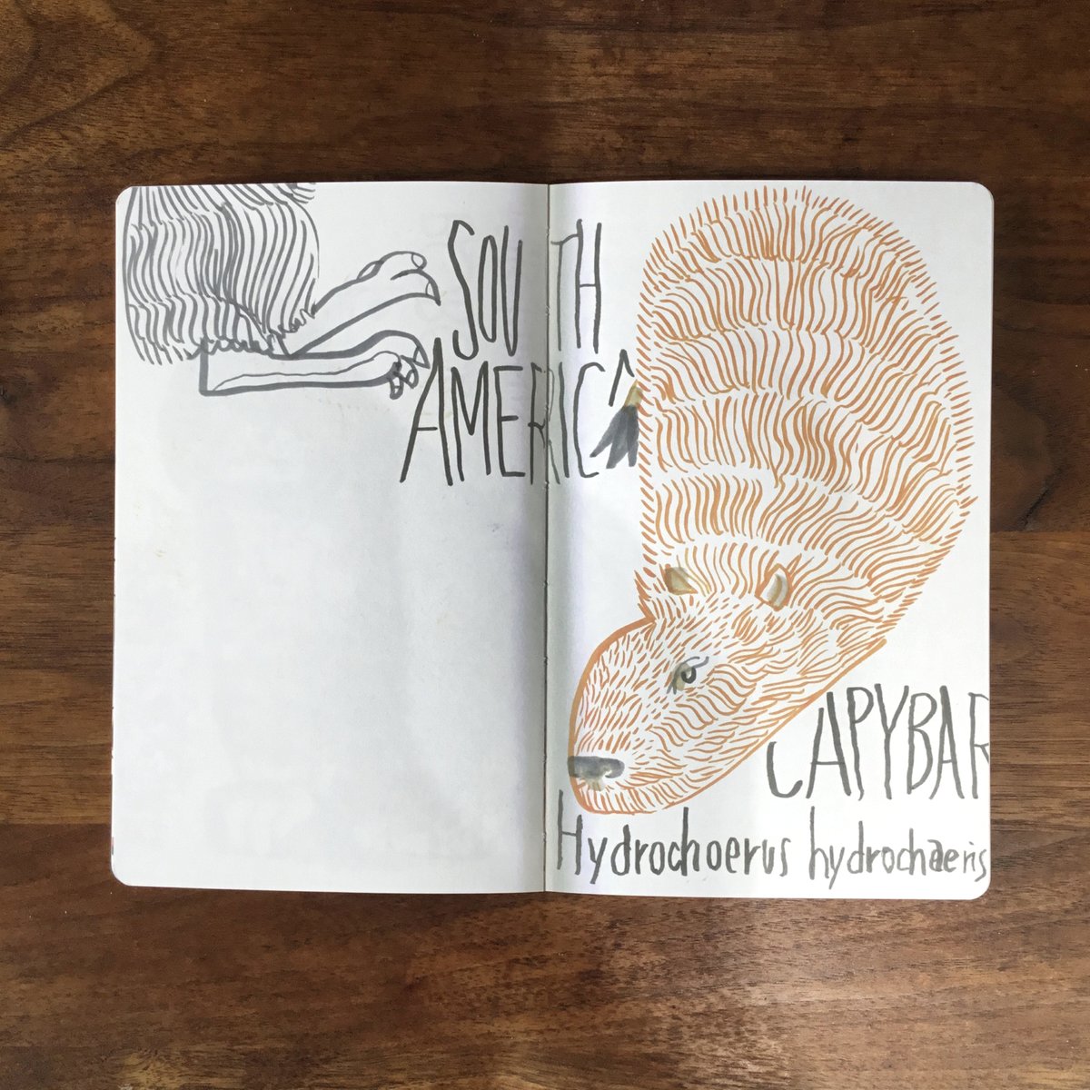 宣伝失礼します。

私家版スケッチ画集、発売中です。
著者名 Studio-Takeuma
と
Travel Sketch 
もしくは
SKETVH FROM THE ZOO
で検索いただければ見つかります。☺️☺️☺️

よろしくお願いいたします。 
