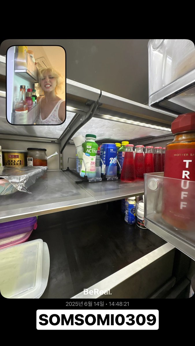 솜털댕 tweet media