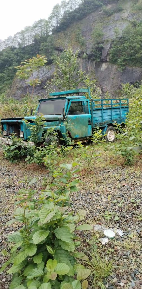 صباحكم الله بالخير والسرور