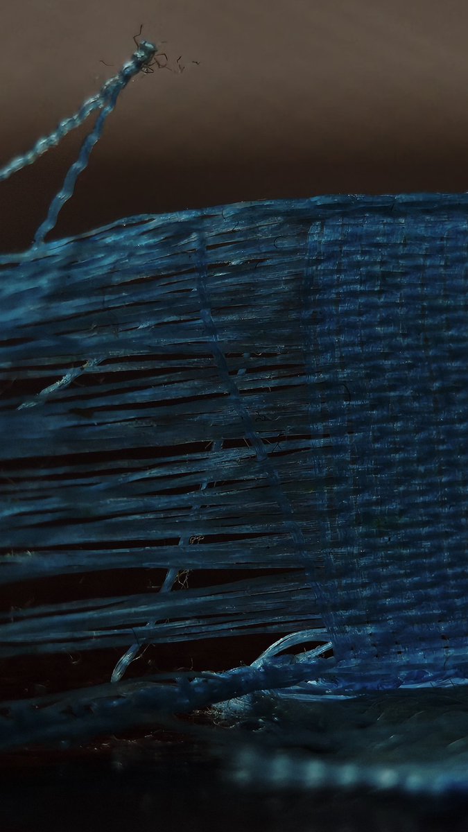 iam_sheshadri's tweet photo. @AkisEvangelidis Macro shots are Boom 💥🤯 in #NP3 https://t.co/XyzcCdIMCs