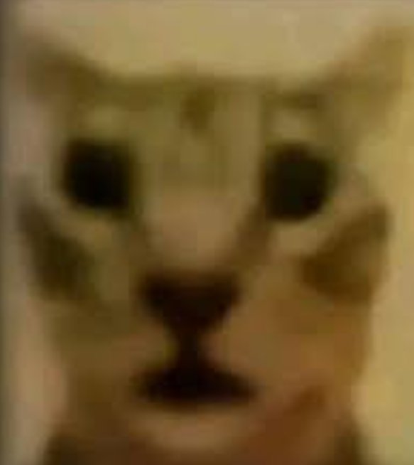 SL♣︎ tweet media