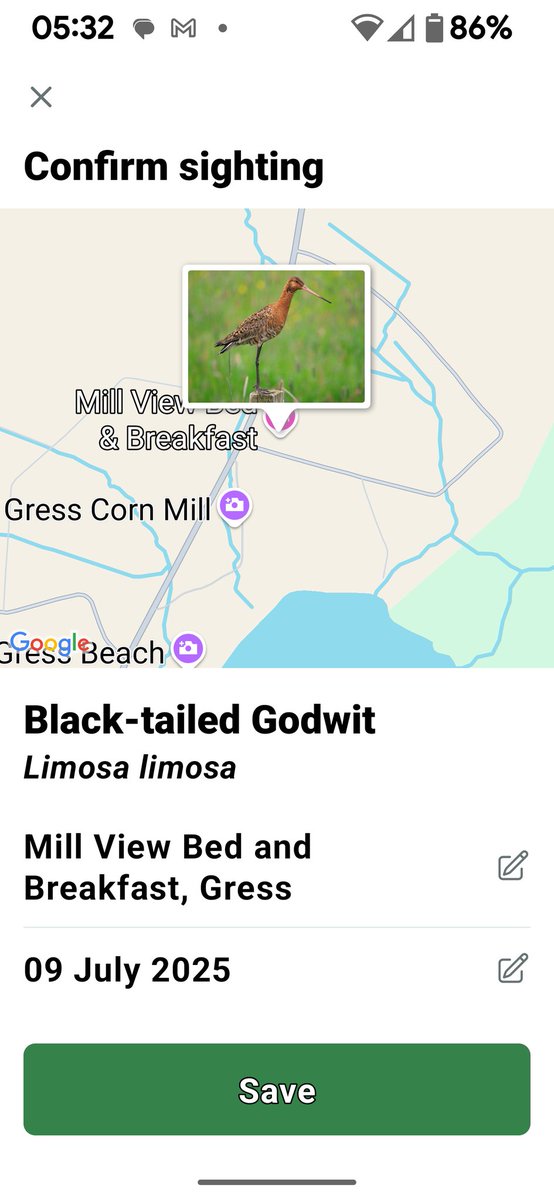 A new visitor to Mill View today. Spotted an unusual reddish brown bird with long beak on a fencepost. As soon as I tried to take a pic it flew off, but the <a href="/MerlinBirdID/">Merlin Bird ID</a> app caught its call (kind of Keek Keek sound) &amp; identified it as a Black-tailed Godwit.