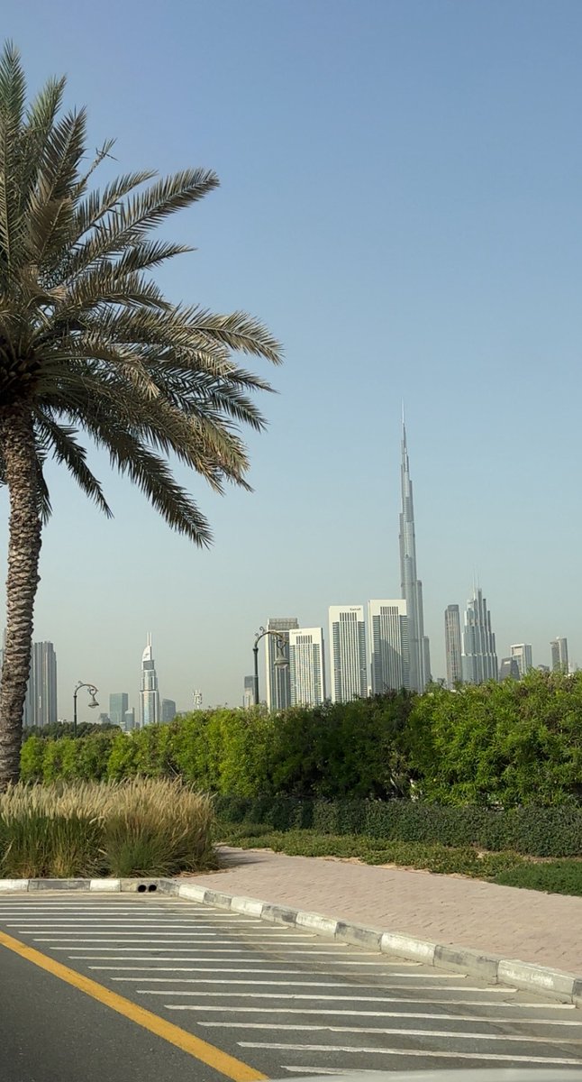 #صباح_الخير 
من 
#دبي_دانة_الدنيا