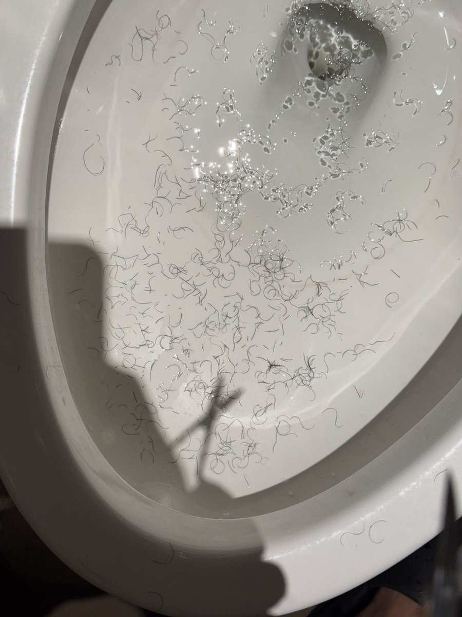 约了个男大 我先提前把毛刮干净了 结果人家嫌扎嘴就没舔 ....找个喜欢舔的这么难吗