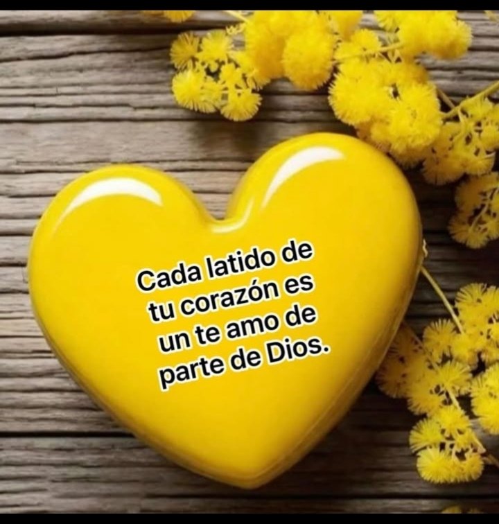 MIRIAN_RD🇩🇴 #LoveDMami ❤AmigosD❤ (@miarianmoreno) on Twitter photo 🖤#AmigosD💛
💛🖤#LoveDMami
💛💛🖤
<a href="/sdh_2031/">𓃵MBS🇸🇦 💛🖤🫶صالح الحلوان 🫶💛🖤🇸🇦 MBS 𓃵</a>
<a href="/Alana__28/">#AmigosD❤ #LoveDmami</a>
<a href="/mvf7186/">#TmSofia</a>
<a href="/osyastar777/">🍾🥂🧁🥐🍫Ⓞⓢⓨⓐⓢⓣⓐⓡ🌏🕊️🤝🕊️🌏</a>
<a href="/srone82/">♥ 🏋️ 💪MIGUEL 💪 ♥</a>
<a href="/mamiRD_/">🇩🇴mamiRD_ #LoveDeMami❤ AmigosDe❤</a>
<a href="/R1_Adv/">Ridwan R1🇮🇩</a>
<a href="/aro_rojas/">Tiger 💚👮♂️#ActiveGains @f_a_r_a_h_9 @sitaravir</a>
<a href="/WALLI27/">Jhon f perez🎶🎸🚵☯</a>
<a href="/AlfonsoAbantoD1/">Enrique Abanto Diaz</a>
<a href="/LeonaMarielah/">MarielaDeSonora</a>
<a href="/Saori__M/">ღƪ(ˆ◡ˆ)ʃ♡ℳДƦîƝ இ️ ♡</a>
<a href="/teamdinamicas/">Cami</a>
<a href="/millo_moni/">MoniMILLO</a>
<a href="/saulChvezramn1/">mariner2 #TSha</a>
<a href="/ranasilvia63/">Luna OM</a>
<a href="/insaurraldeh/">⭐POLI⭐ #MGWV⭐</a>
<a href="/ElderAcost/">ELDER AC✪STA 📚23ʸʳˢ⚽️</a>
<a href="/miarianmoreno/">MIRIAN_RD🇩🇴 #LoveDMami ❤AmigosD❤</a>
<a href="/Spencerjames211/">Spencer James #GAINWITHPETAL #TMPETAL #Teamspirit</a> 🖤#AmigosD💛
💛🖤#LoveDMami
💛💛🖤
<a href="/sdh_2031/">𓃵MBS🇸🇦 💛🖤🫶صالح الحلوان 🫶💛🖤🇸🇦 MBS 𓃵</a>
<a href="/Alana__28/">#AmigosD❤ #LoveDmami</a>
<a href="/mvf7186/">#TmSofia</a>
<a href="/osyastar777/">🍾🥂🧁🥐🍫Ⓞⓢⓨⓐⓢⓣⓐⓡ🌏🕊️🤝🕊️🌏</a>
<a href="/srone82/">♥ 🏋️ 💪MIGUEL 💪 ♥</a>
<a href="/mamiRD_/">🇩🇴mamiRD_ #LoveDeMami❤ AmigosDe❤</a>
<a href="/R1_Adv/">Ridwan R1🇮🇩</a>
<a href="/aro_rojas/">Tiger 💚👮♂️#ActiveGains @f_a_r_a_h_9 @sitaravir</a>
<a href="/WALLI27/">Jhon f perez🎶🎸🚵☯</a>
<a href="/AlfonsoAbantoD1/">Enrique Abanto Diaz</a>
<a href="/LeonaMarielah/">MarielaDeSonora</a>
<a href="/Saori__M/">ღƪ(ˆ◡ˆ)ʃ♡ℳДƦîƝ இ️ ♡</a>
<a href="/teamdinamicas/">Cami</a>
<a href="/millo_moni/">MoniMILLO</a>
<a href="/saulChvezramn1/">mariner2 #TSha</a>
<a href="/ranasilvia63/">Luna OM</a>
<a href="/insaurraldeh/">⭐POLI⭐ #MGWV⭐</a>
<a href="/ElderAcost/">ELDER AC✪STA 📚23ʸʳˢ⚽️</a>
<a href="/miarianmoreno/">MIRIAN_RD🇩🇴 #LoveDMami ❤AmigosD❤</a>
<a href="/Spencerjames211/">Spencer James #GAINWITHPETAL #TMPETAL #Teamspirit</a>