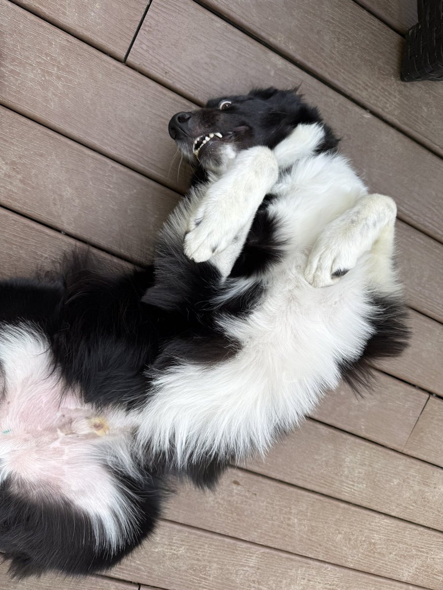 A little bit of crazy