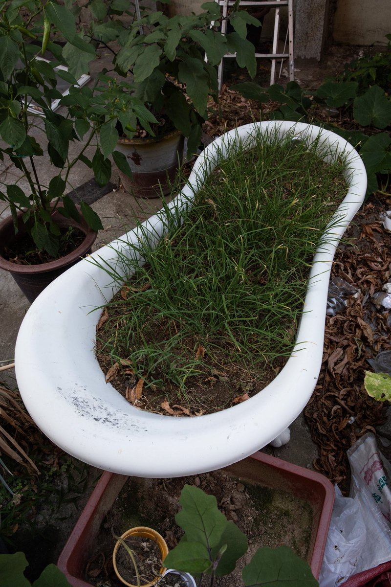 제곱이 (@thesquareoftwo) on Twitter photo 