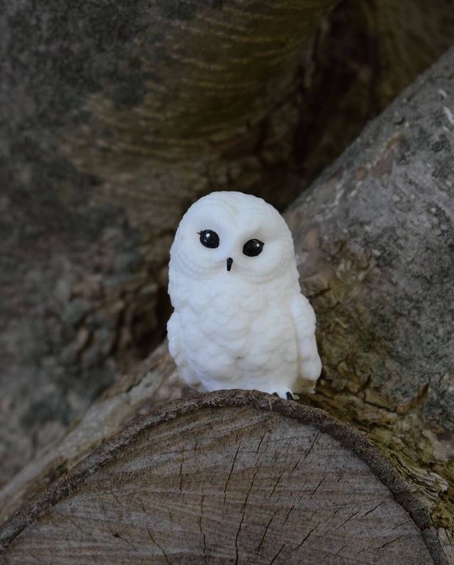 "Are you lost, pilgrim?"