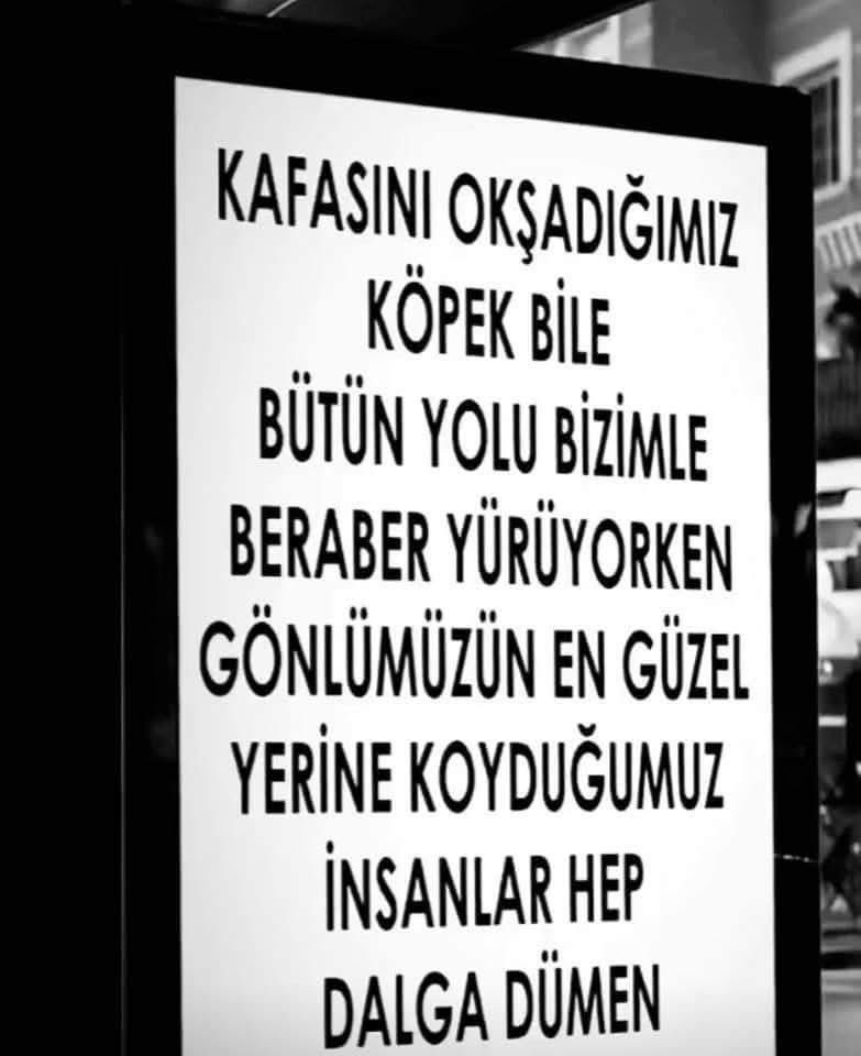:) #vesselam