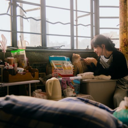 PretaDorameira's tweet image. #FirstFrost