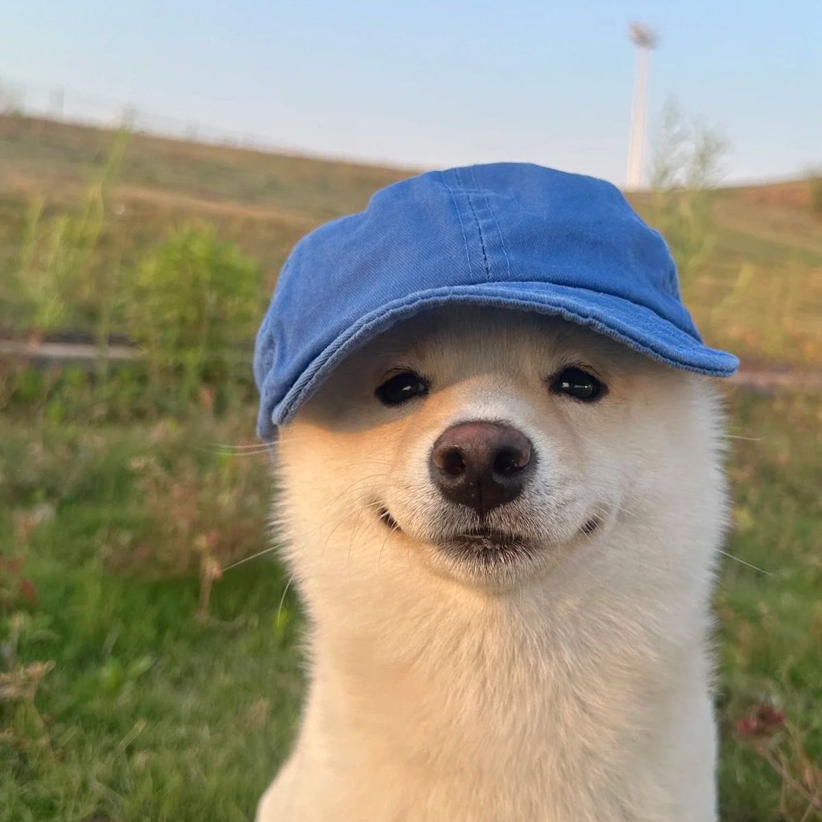 Husband Material 🌹 (@husbndmtrl) on Twitter photo 