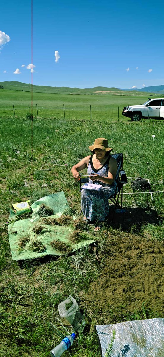 Ээж маань Хөвсгөл аймгийн Цагаан-Уул сумын нутаг дэвсгэрээс дэлхийд бүртгэгдээгүй шинэ зүйлийн ургамал олж тогтоон түүнийг нь өөрийнх нь нэрээр буюу "Oyunmaa ortuz" гэж бүртгэлээ.