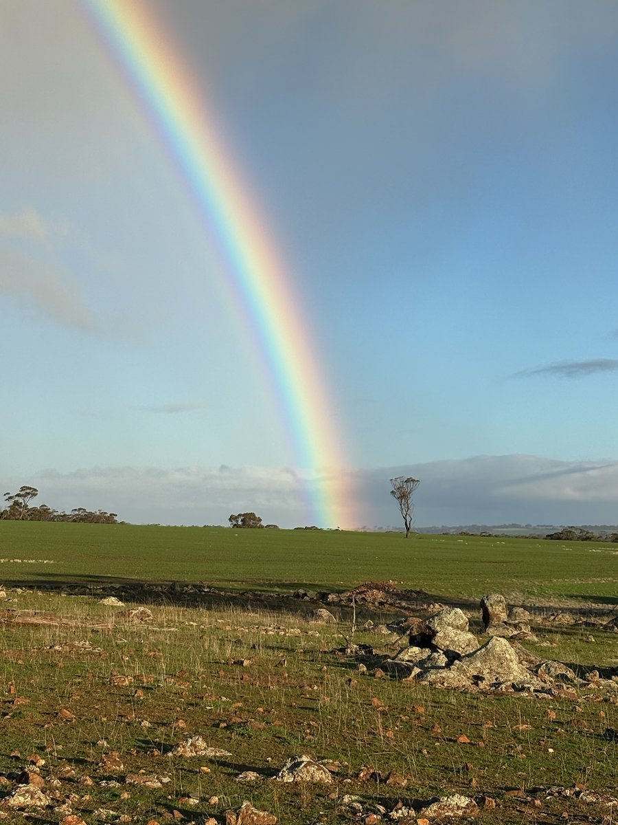 WALRC1's tweet image. When we asked Michael Humphry, host for Livestock Matters in Walebing for a pic, this is what he sent. He took it for his grandkids but how perfect it is for our program. Join us on July 24 for a day that brings honesty, research, practical insight &amp;amp; hope! walrc.com.au/events/