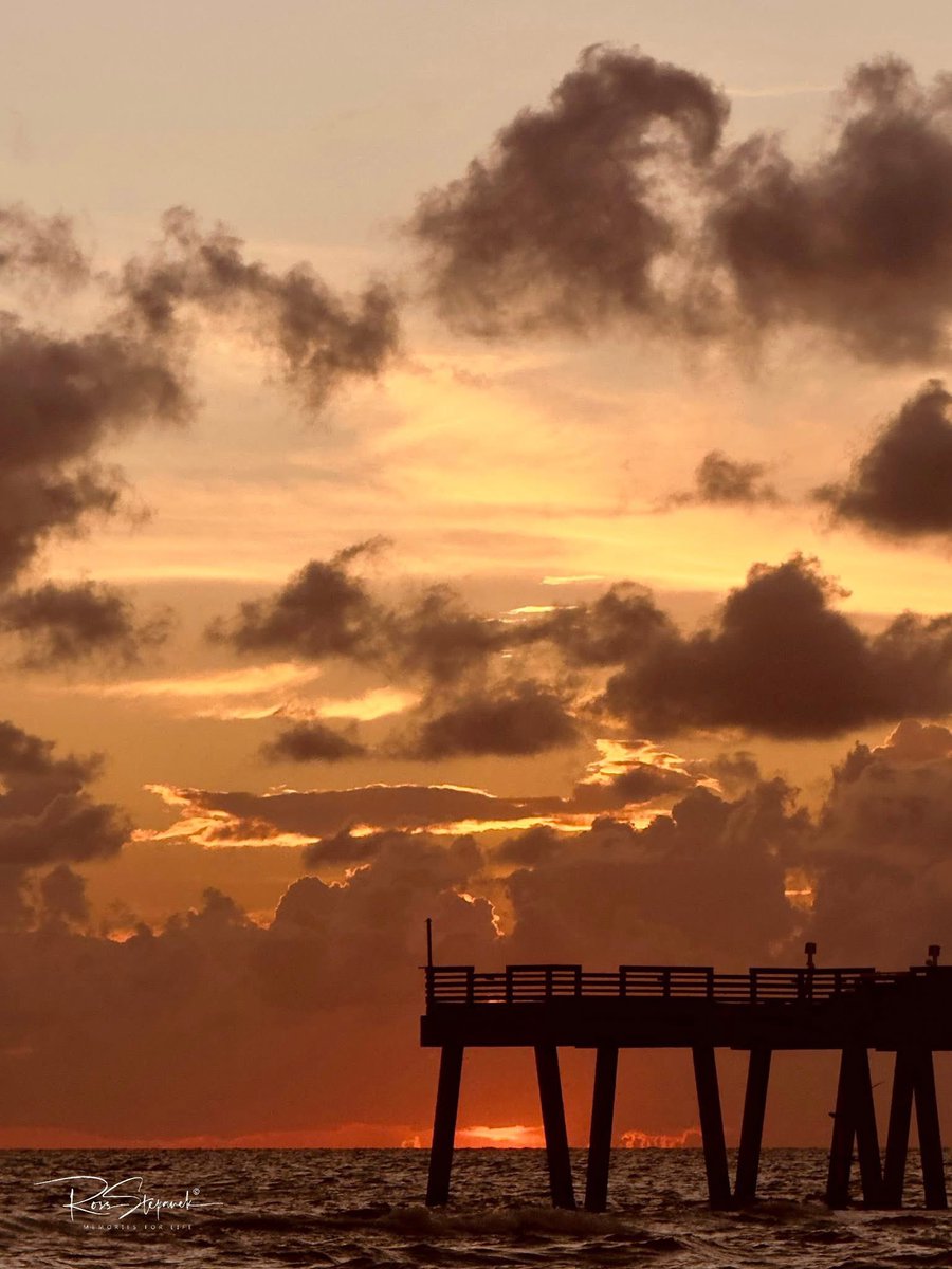 ArmyBrat68 (@armybrat682) on Twitter photo May you rest well & wake up ready to start a new day.  Each day is a new day to start over. Good night & sweetest dreams ✨🌟 May you rest well & wake up ready to start a new day.  Each day is a new day to start over. Good night & sweetest dreams ✨🌟