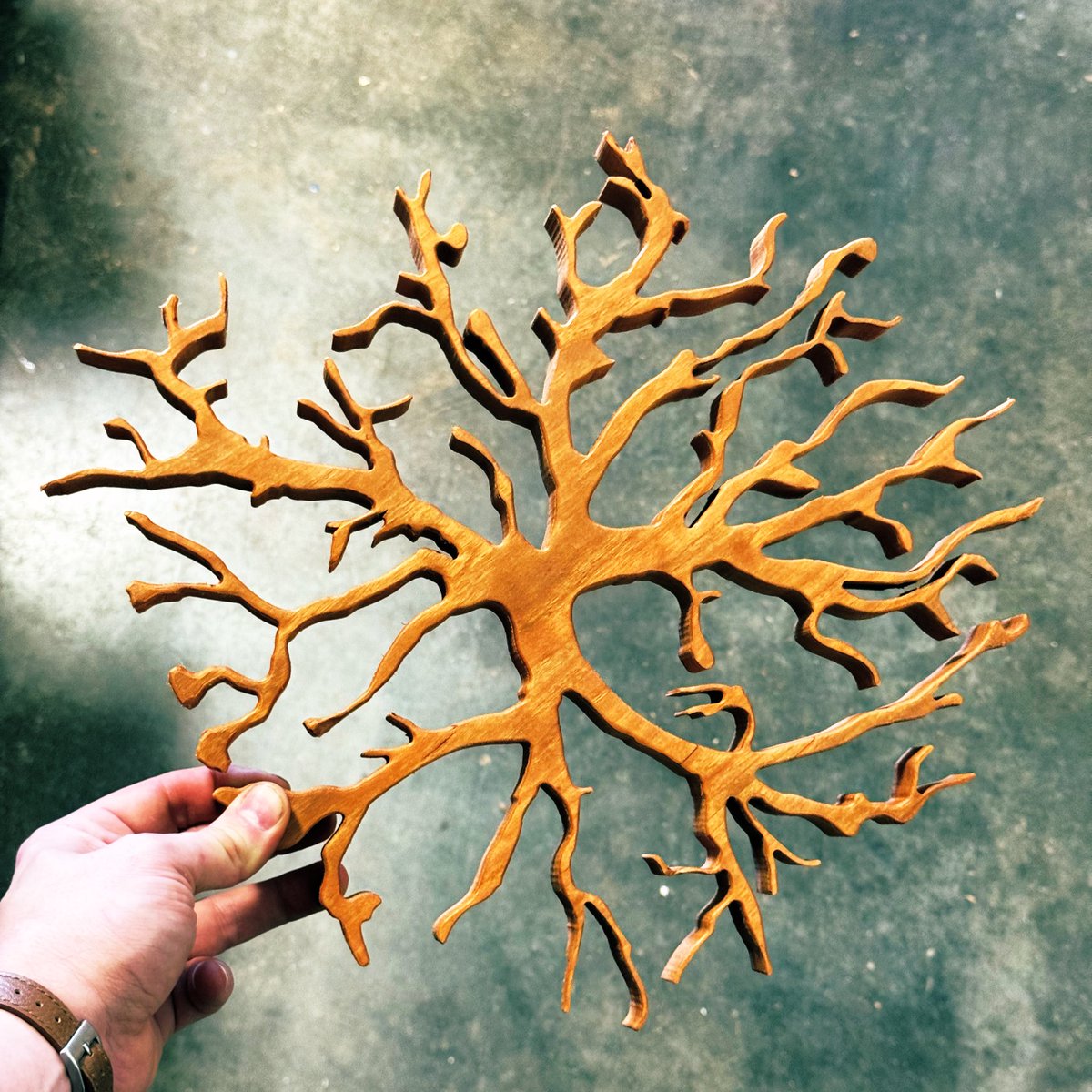 An astrocyte sculpture made out of cherry wood. Neurons are not the only important cells of the brain!!! ✨🧠🔬