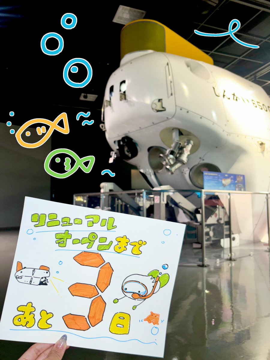 minatomiraigiju's tweet image. リニューアルオープンまであと 3 日❣
今日は海ゾーンからお届けします!
開館の準備が着々と進んでおります!スタッフ一同心よりお待ちしております✨
