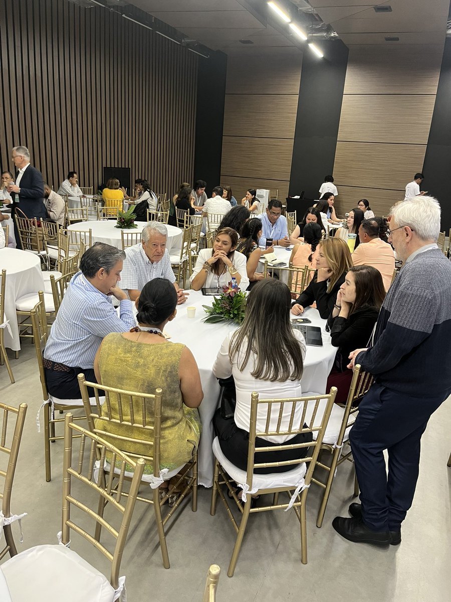 Natalia Fenizi tweet media