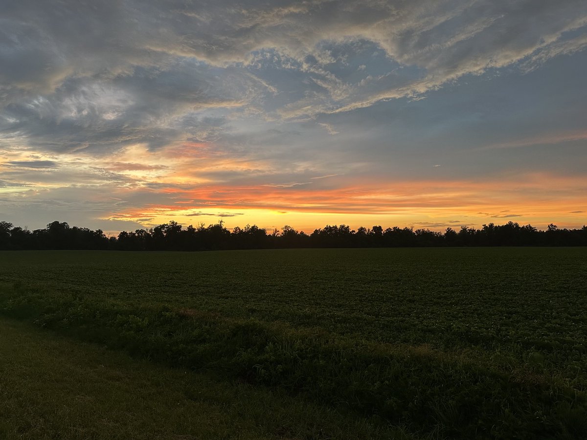 Morroc Obama (@morrocobama) on Twitter photo 