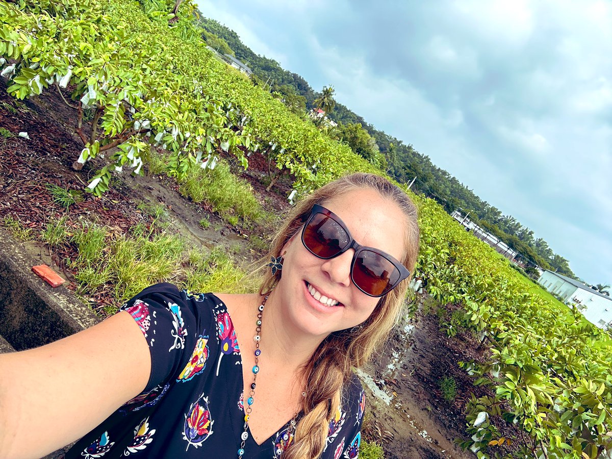 Tropical Plant Clinic & Research Lab tweet media