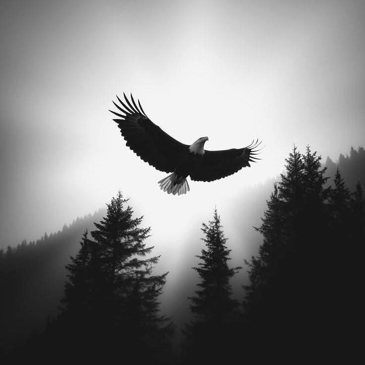 Good morning!
Powerful people are like eagles they always like to fly alone.

#ZeeshanMotives #MorningVibes
#Motivation #Inspiration