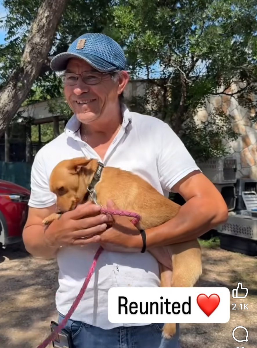 Kerrville Pets Alive is tirelessly reuniting pets with their families after the Texas floods. Their dedication brings hope to heartbroken communities. 🐾❤️ Support their mission! Link in comments.