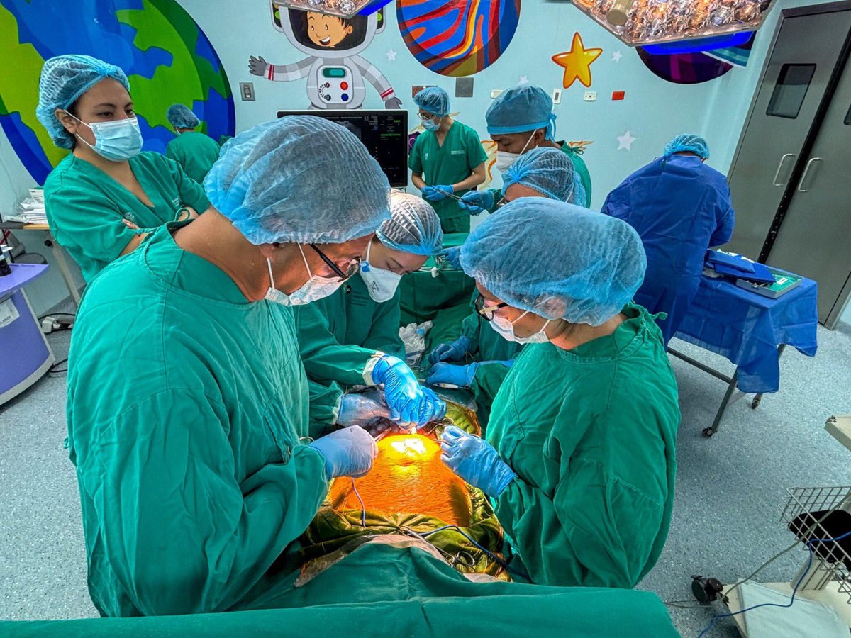 HgonaSalud_Ec's tweet photo. 📢 BOLETÍN |Reparación Intrauterina de Malformación Craneal: Un verdadero hito en la medicina fetal ecuatoriana.
Se realizó con éxito una intervención intrauterina en el @HgonaSaludEc para corregir una malformación craneal, marcando un avance histórico en la atención prenatal. https://t.co/2vXBMKoBLP