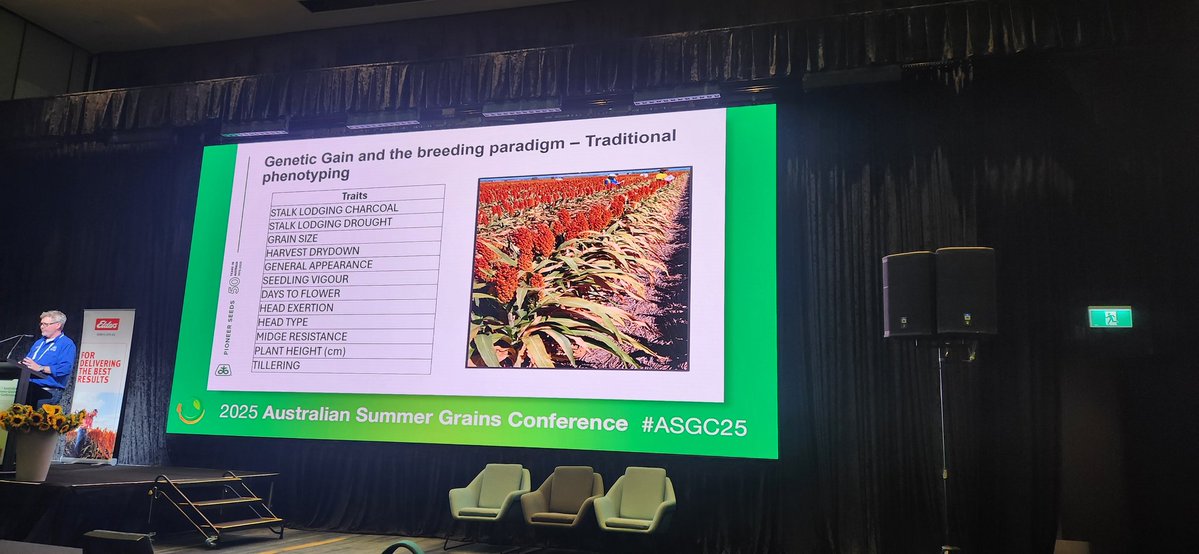EmmaOmics's tweet image. Enjoying hearing about both private and public sorghum pre-breeding and breeding  @AustSummerGrain with talks from @SorgGuy and GenTech&apos;s breeder, highlighting the need for balancing time, effort and cost with risks relative to return on investment in the pre-breeding space.