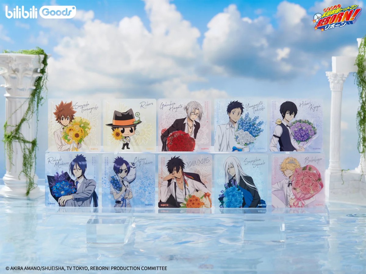 家庭教師ヒットマンREBORN! bilibiliGoods 中国 花束の約束シリーズ