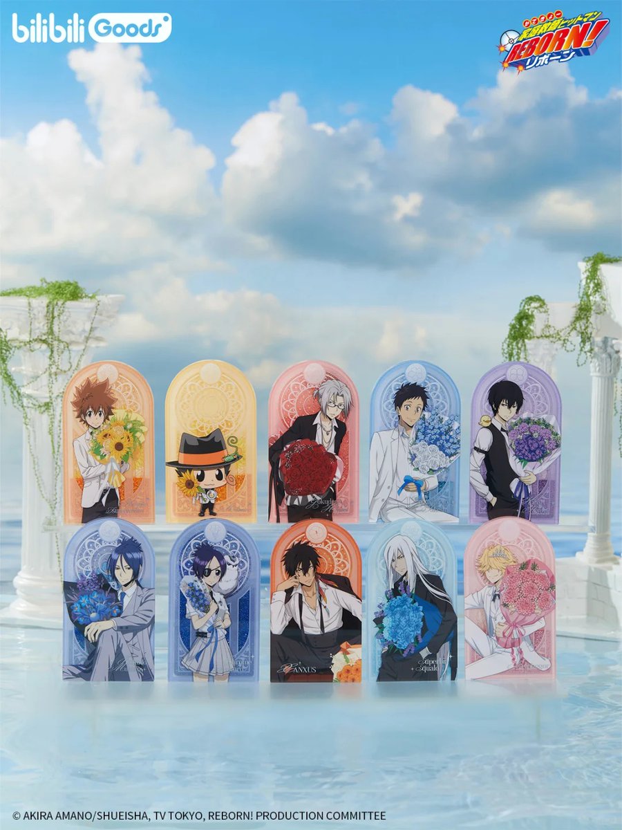 家庭教師ヒットマンREBORN! bilibiliGoods 中国 花束の約束シリーズ