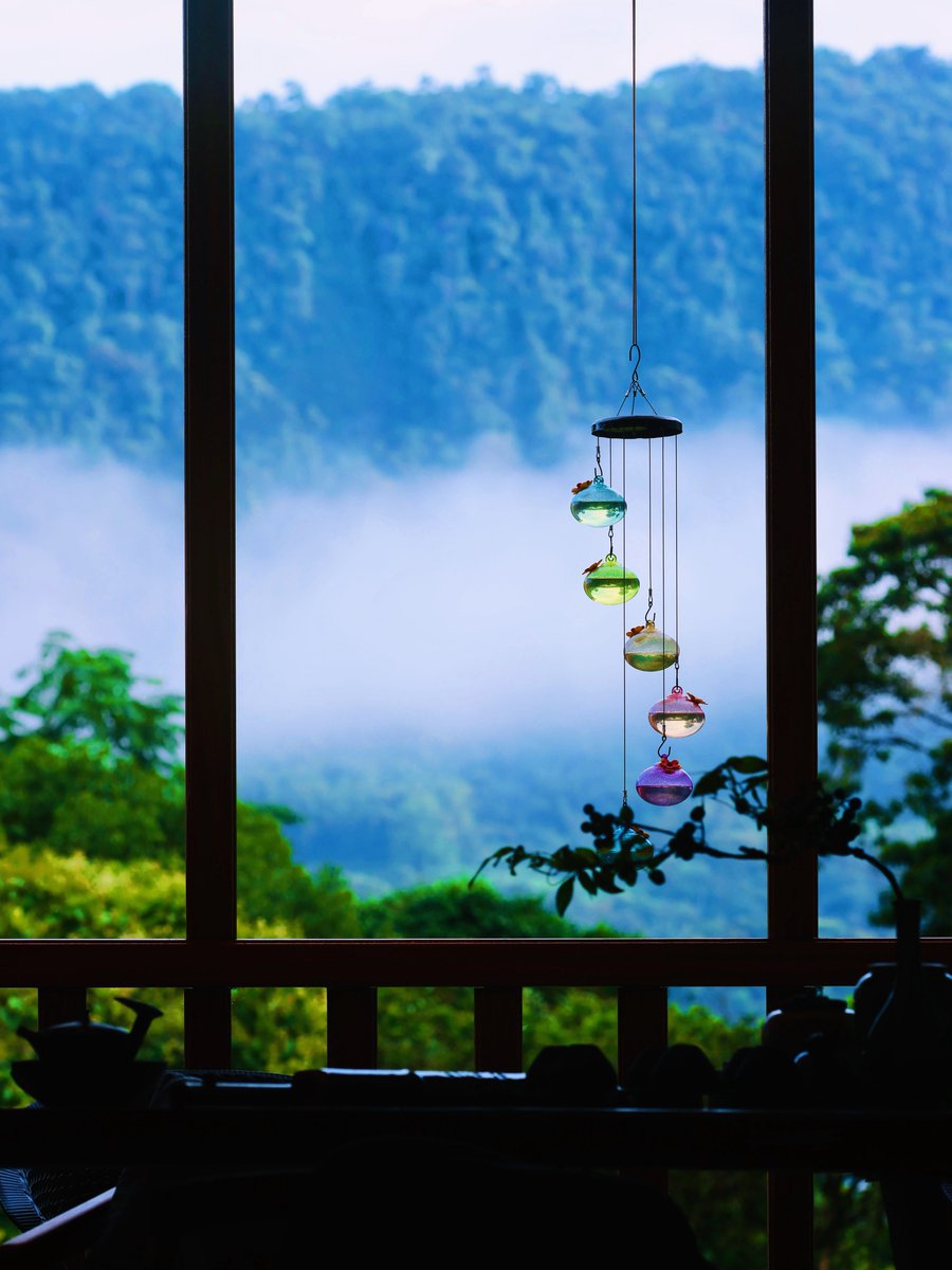 LodgeLong33547's tweet photo. Morning mist drifts in gently as our hummingbird feeder dances like a wind chime, playing nature’s quiet symphony.
At LONG Lodge, even feeding hummingbirds becomes a poetic ritual. https://t.co/2Ooojs2omj
