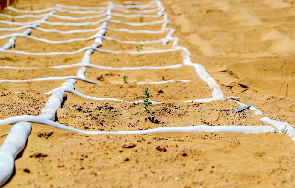 work_worth's tweet image. Against the vast #Gobi desert, these sand-locking checkerboards work miracles. Plant a sapling, nurture it with care—and watch life stubbornly take root. Where there’s determination, barren sands become oasis. #AntiDesertification