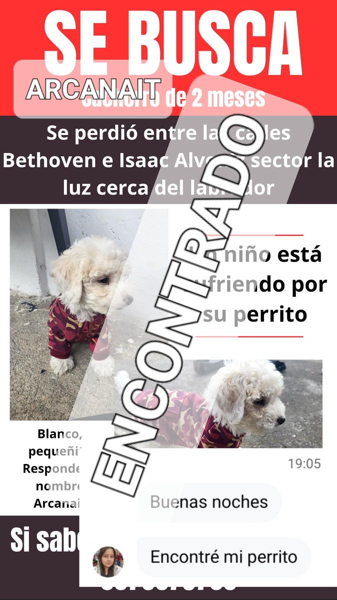 AlertaMePerdi's tweet photo. Nos complace informar que #ARCANITE ya se encuentra con su familia, gracias a tod@s por compartir la información. https://t.co/olGmcjQi4g