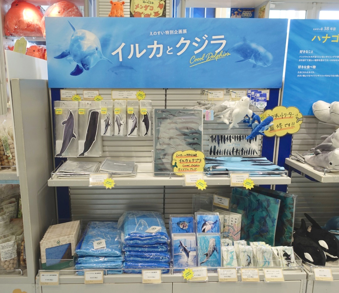 🆕えのすい特別企画展「イルカとクジラ」 オリジナルグッズ えのすい