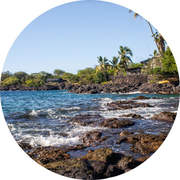 JoyceRodenbaugh's tweet photo. Check it out! I just voted for Protecting coral reefs and ocean ecosystems in the #ReefResilience Tug O' War.  https://t.co/Qt4qQBP1uA https://t.co/uDjBqXdmtE