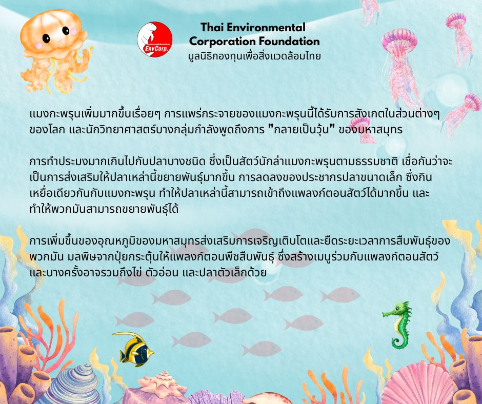 Envcorp_th's tweet image. แมงกะพรุนเป็นสัตว์ทะเลที่มีโครงสร้างร่างกายเรียบง่ายมีลักษณะโปร่งใสส่วนใหญ่เป็นน้ำและอาศัยอยู่ในทะเลทั่วโลกแม้จะดูบอบบางแต่แมงกะพรุนบางชนิดก็มีพิษร้ายแรงต่อมนุษย์นอกจากนี้แมงกะพรุนยังมีความสำคัญในระบบนิเวศทางทะเลและมีบทบาททั้งเป็นผู้ล่าและเป็นอาหารของสัตว์ทะเลชนิดอื่น #ธรรมชาติ