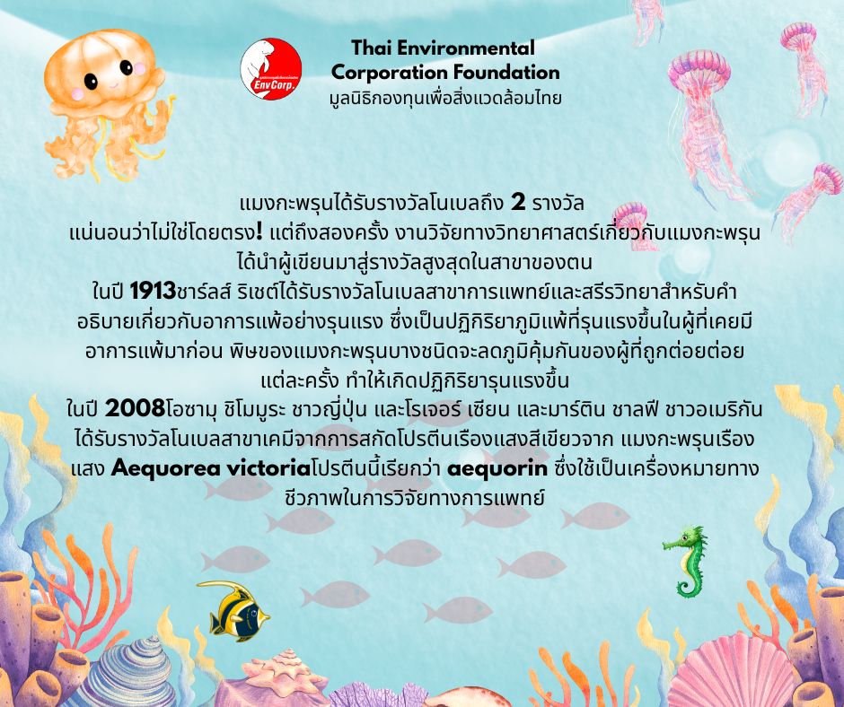 Envcorp_th's tweet image. แมงกะพรุนเป็นสัตว์ทะเลที่มีโครงสร้างร่างกายเรียบง่ายมีลักษณะโปร่งใสส่วนใหญ่เป็นน้ำและอาศัยอยู่ในทะเลทั่วโลกแม้จะดูบอบบางแต่แมงกะพรุนบางชนิดก็มีพิษร้ายแรงต่อมนุษย์นอกจากนี้แมงกะพรุนยังมีความสำคัญในระบบนิเวศทางทะเลและมีบทบาททั้งเป็นผู้ล่าและเป็นอาหารของสัตว์ทะเลชนิดอื่น #ธรรมชาติ