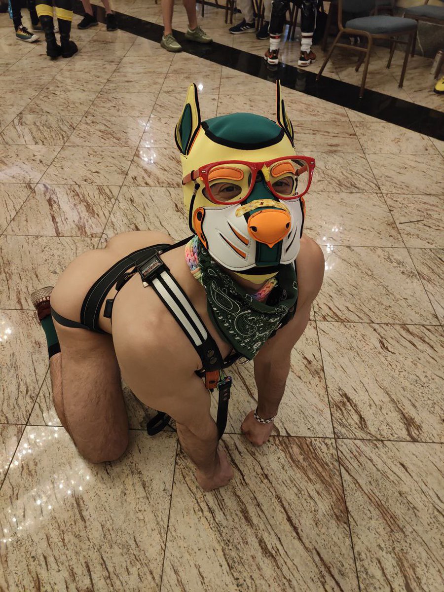 Vero 🔜 MFF tweet media