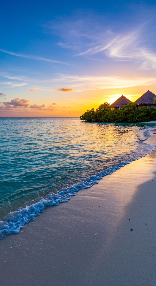 SAGE🌿 (@sagy720) on Twitter photo 