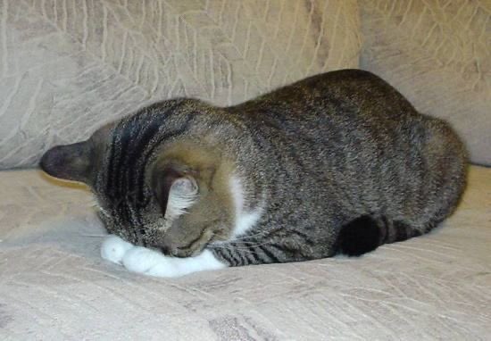 昨日爆睡しました🙇‍♂️🧎
＿|＼○＿