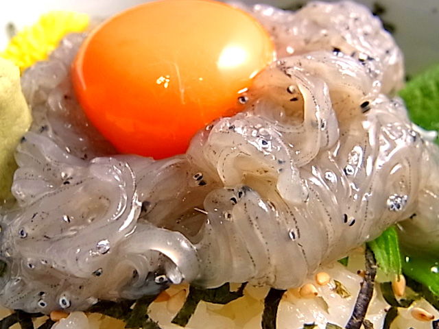 JWM1a2Ti3jmsEyb's tweet photo. 那珂湊で！
今日は生しらす丼おすすめです！
@￥1320 https://t.co/SHgSV9LwTC
